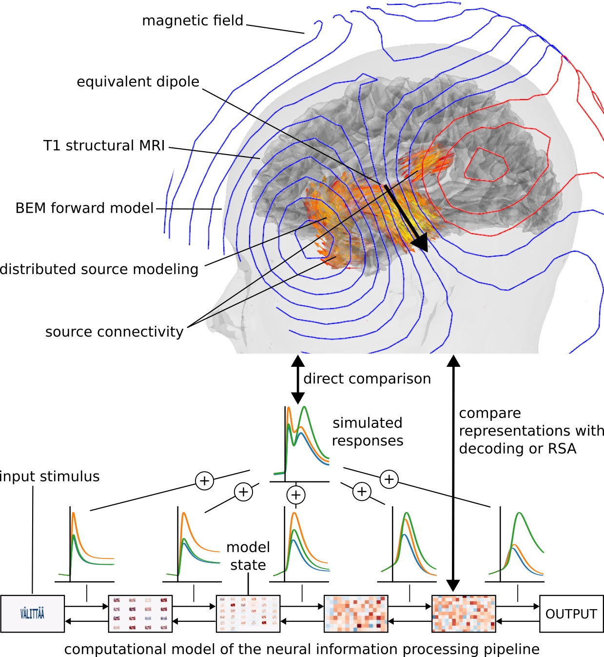 we strive to understand the entire stack from computational process to brain activity to how that brain activity appears on our sensors.